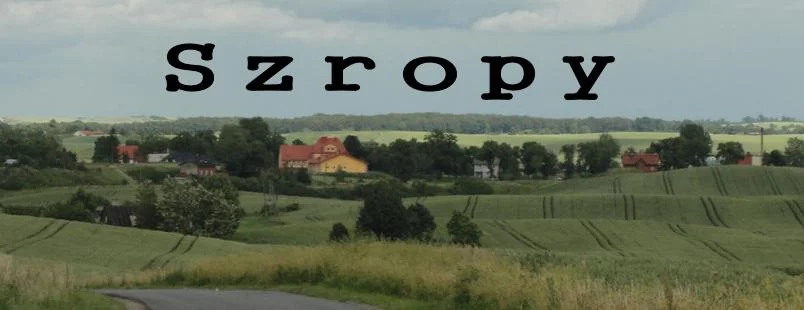 Zdjęcie z galerii